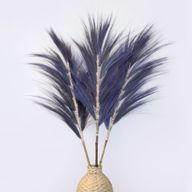 Lavendel Rayung-Gräs - 1.6m