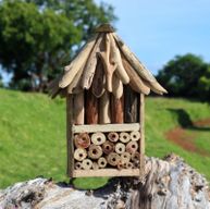 Hus till Bin & Insekter av Drivved - Dubbel