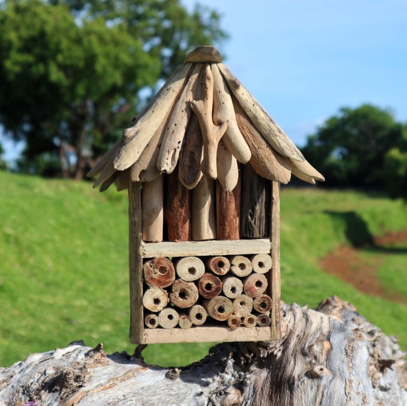 Hus till Bin & Insekter av Drivved - Dubbel