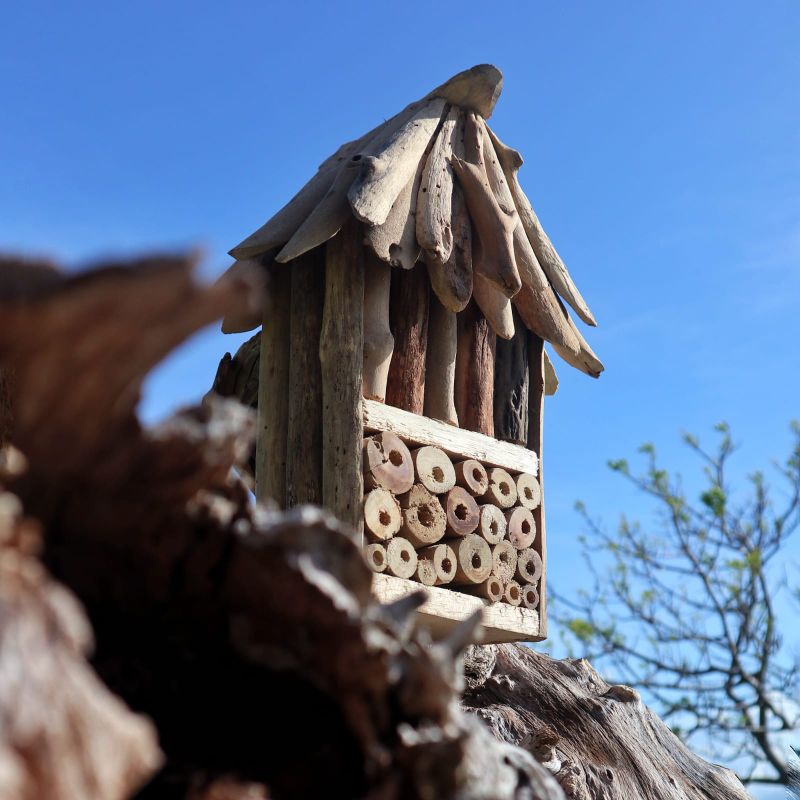 Hus till Bin & Insekter av Drivved - Dubbel