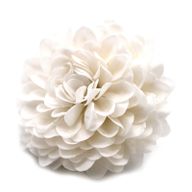 Tvålblommor till Hantverk - Liten Krysantemum - Vit