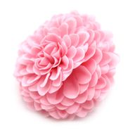 Tvålblommor till Hantverk - Liten Krysantemum - Lljusrosa
