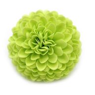 Tvålblommor till Hantverk - Liten Krysantemum - Ljusgrön