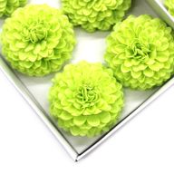 Tvålblommor till Hantverk - Liten Krysantemum - Ljusgrön