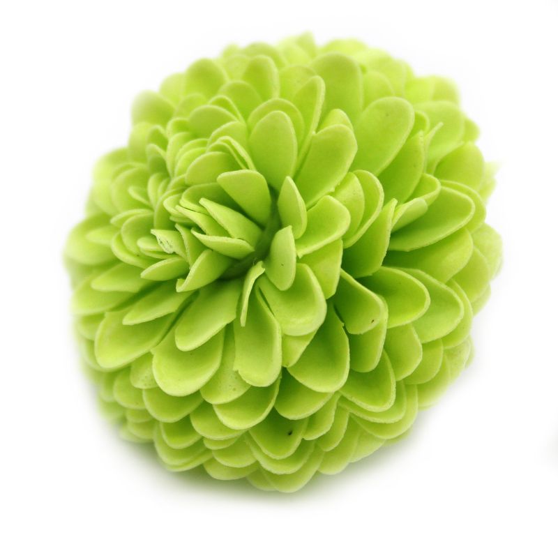 Tvålblommor till Hantverk - Liten Krysantemum - Ljusgrön