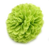 Tvålblommor till Hantverk - Liten Krysantemum - Ljusgrön