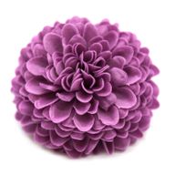 Tvålblommor till Hantverk - Liten Krysantemum - Lila