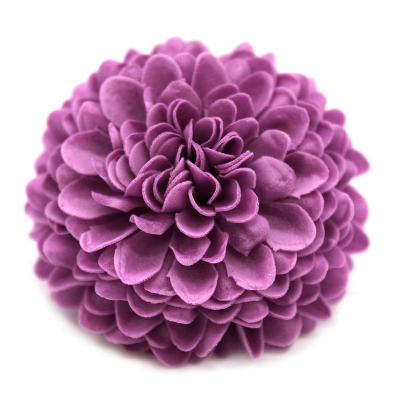 Tvålblommor till Hantverk - Liten Krysantemum - Lila