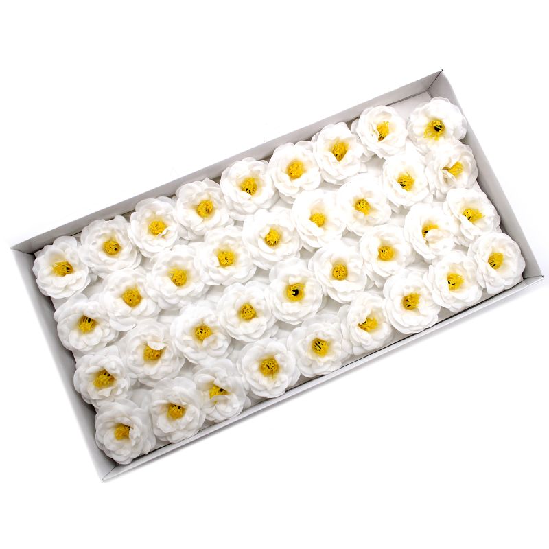 Tvålblommor till Hantverk - Kamelia - Vit