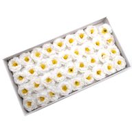 Tvålblommor till Hantverk - Kamelia - Vit