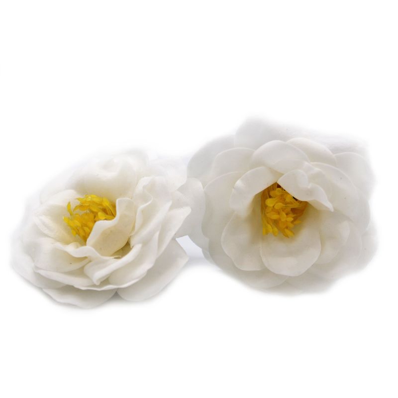 Tvålblommor till Hantverk - Kamelia - Vit