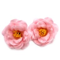 Tvålblommor till Hantverk - Kamelia - Ljusrosa
