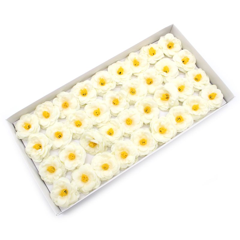 Tvålblommor till Hantverk - Kamelia - Krämfärg