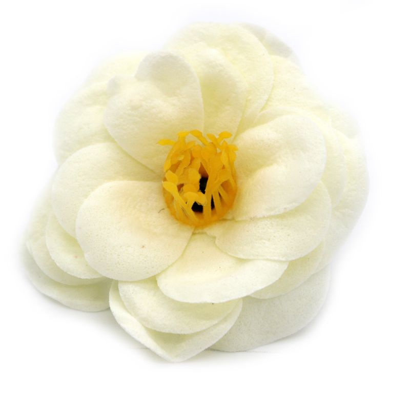 Tvålblommor till Hantverk - Kamelia - Krämfärg