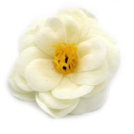 Tvålblommor till Hantverk - Kamelia - Krämfärg