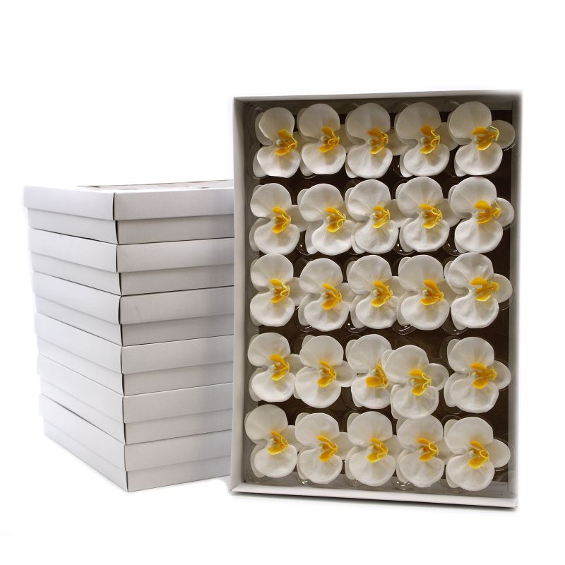 Tvålblommor till Hantverk - Orkidé - Vit
