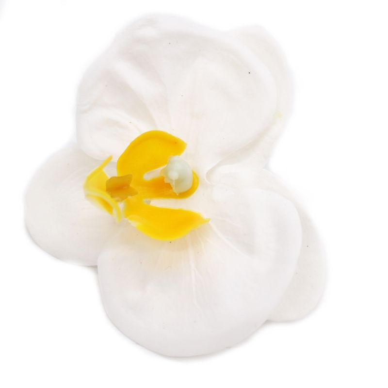 Tvålblommor till Hantverk - Orkidé - Vit
