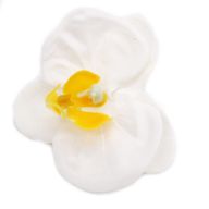Tvålblommor till Hantverk - Orkidé - Vit