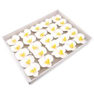 Tvålblommor till Hantverk - Orkidé - Vit
