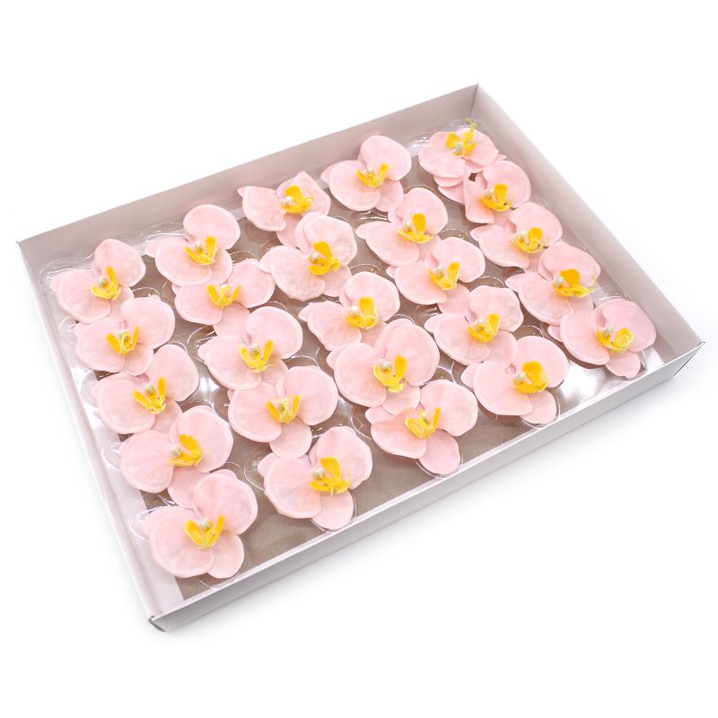 Tvålblommor till Hantverk - Orkidé - Ljusrosa