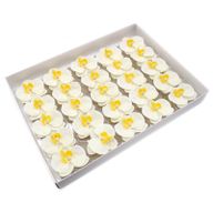 Tvålblommor till Hantverk - Orkidé - Krämfärg
