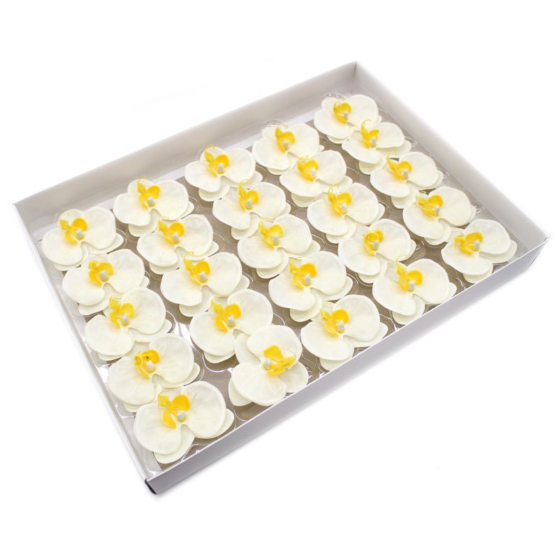 Tvålblommor till Hantverk - Orkidé - Krämfärg