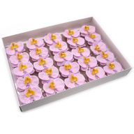 Tvålblommor till Hantverk - Orkidé - Lila