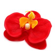 Tvålblommor till Hantverk - Orkidé - Röd