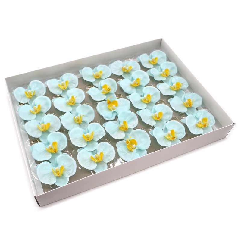 Tvålblommor till Hantverk - Orkidé - Blå