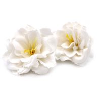 Tvålblommor till Hantverk - Liten Pion - Vit