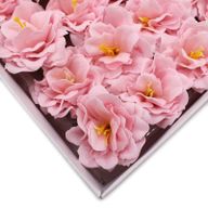 Tvålblommor till Hantverk - Liten Pion - Ljusrosa