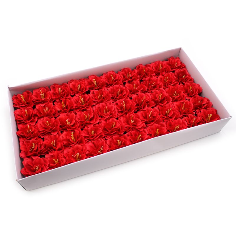 Tvålblommor till Hantverk - Liten Pion - Röd