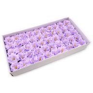Tvålblommor till Hantverk - Liten Pion - Lila