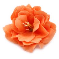Tvålblommor till Hantverk - Liten Pion - Orange