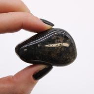 Stora Afrikanska Tumlade Stenar - Svart Onyx