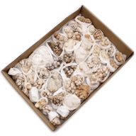 Exemplar av Mineraler - Blomkalcit (ca 20 stycken)