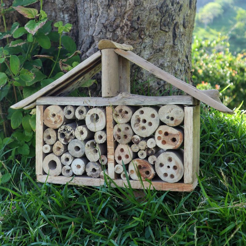 Hus till Bin & Insekter av Drivved - Bred