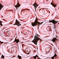 Tvålblommor till Hantverk - Mellanstor Ros - Ljusrosa med Svart Kant