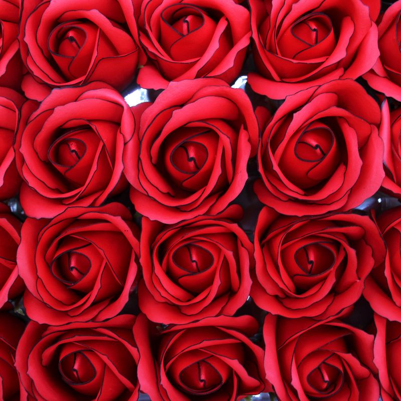 Tvålblommor till Hantverk - Mellanstor Ros - Röd med Svart Kant