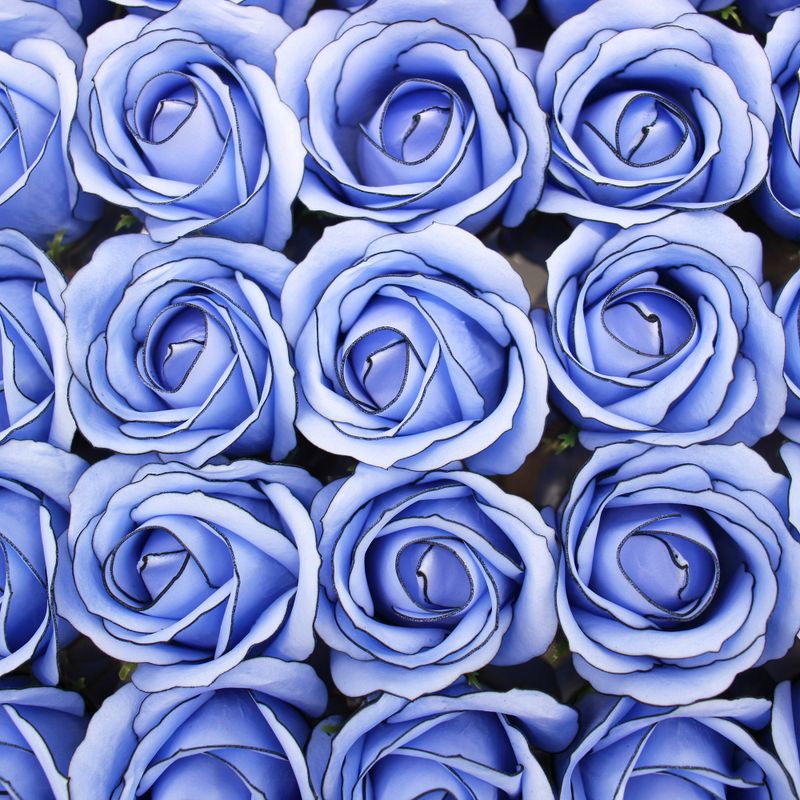 Tvålblommor till Hantverk - Mellanstor Ros - Blå med Svart Kant