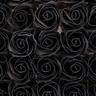 Tvålblommor till Hantverk - Mellanstor Ros - Svart med Vit Kant