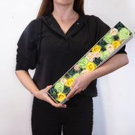 Extra Lång Ask - Vårens Firande - Gul & Grön