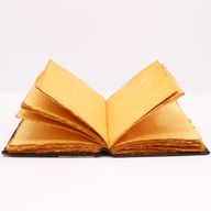 Stor Brun Anteckningsbok - Ros i Zink (26x18cm) - 200 sidor