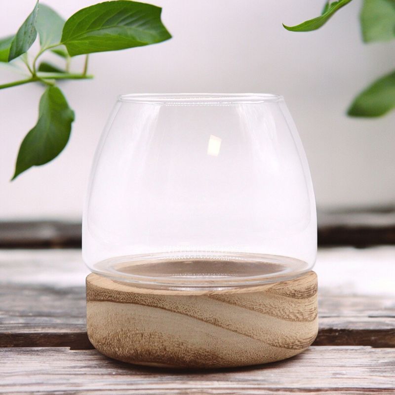 Mini Terrarium på Naturligt Tung-trä - 10x10cm