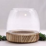 Litet Terrarium på Naturligt Tung-trä - 13x13cm