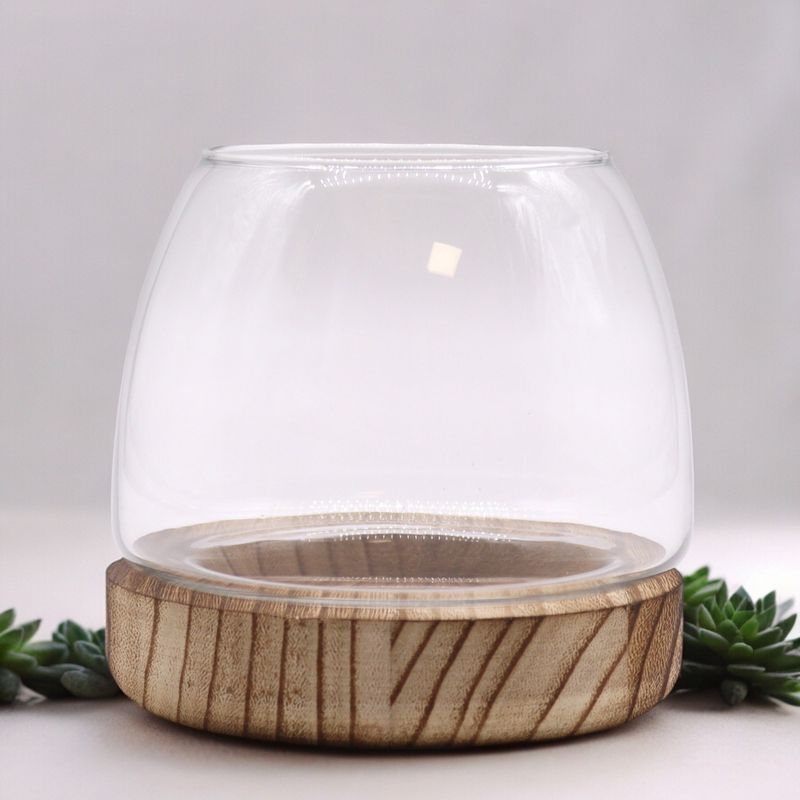 Litet Terrarium på Naturligt Tung-trä - 13x13cm