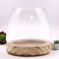 Medelstort Terrarium på Naturligt Tung-trä - 15x15cm