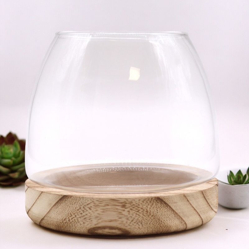 Medelstort Terrarium på Naturligt Tung-trä - 15x15cm