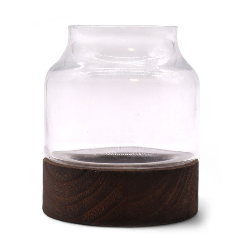 Litet Format Terrarium på Mörkt Tung-trä - 12x13cm