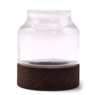 Litet Format Terrarium på Mörkt Tung-trä - 12x13cm